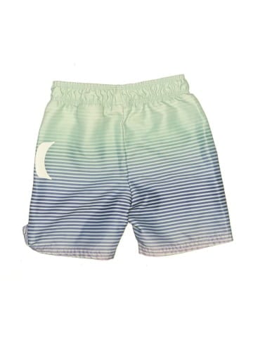 Hurley Board Shorts (view 2)