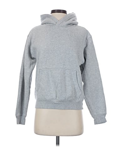 Aritzia Pullover Hoodie (view 1)