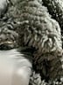 Unbranded Black Turtleneck Sweater Size 9 - photo 3