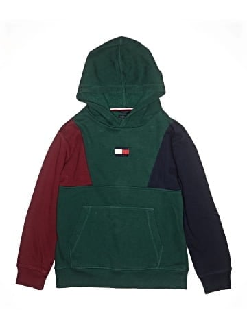 Tommy Hilfiger Pullover Hoodie (view 1)