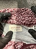 Weatherproof 100% Polyester Tweed Burgundy Pullover Sweater Size XL - photo 7