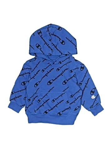Champion Pullover Hoodie (view 1)