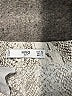 MNG Suit 100% Polyester Paisley Ivory Shorts Size 2 - photo 3