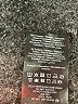Vero Moda Solid Black Formal Skirt Size XS - photo 5