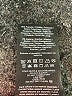 Vero Moda Solid Black Formal Skirt Size XS - photo 6