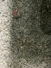 Pendleton 100% Wool Gray Wool Pants Size 14 - photo 5