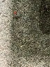 Pendleton 100% Wool Gray Wool Pants Size 14 - photo 6