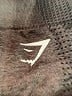 Gymshark Gray Athletic Shorts Size XS (estimated) - photo 3