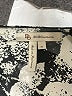 BCBGeneration Silver Short Sleeve Blouse Size XL - photo 4