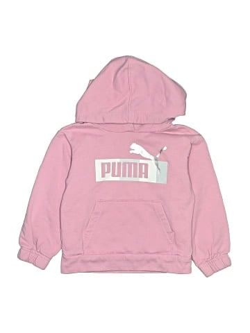 Puma Pullover Hoodie (view 1)