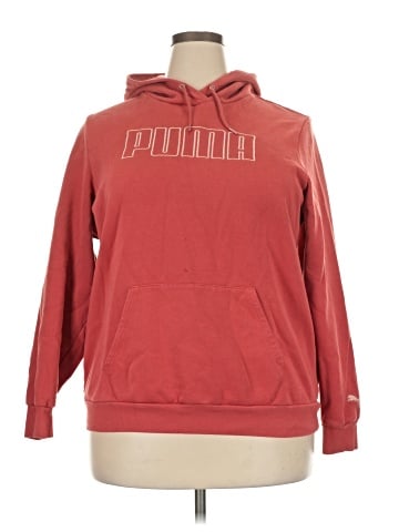Puma Pullover Hoodie (view 1)