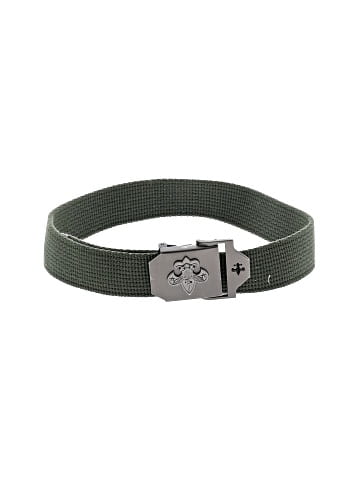 Unbranded Belt (view 1)
