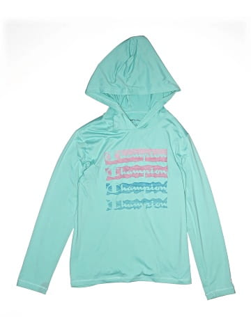 Champion Pullover Hoodie (view 1)