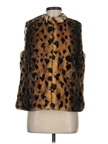 Terry Lewis Faux Fur Vest (view 1)