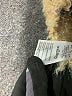 Anthropologie Tweed Tan Wool Pullover Sweater Size S - photo 8