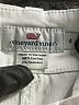 Vineyard Vines Solid Ivory Shorts Size 4 - photo 3