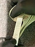 Glyder Green Active Tank Size S - photo 8