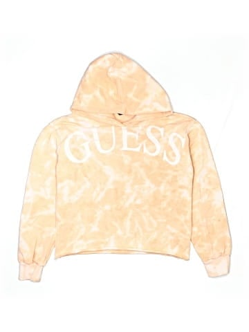 Guess Pullover Hoodie (view 1)