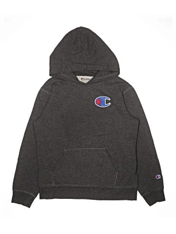 Champion Pullover Hoodie (view 1)