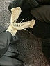 Madewell Black Bodysuit Size S - photo 5