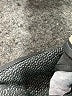 Cupcakes & Cashmere Gray Cardigan Size S - photo 8