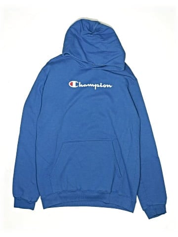 Champion Pullover Hoodie (view 1)