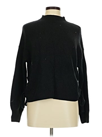 Max Studio Turtleneck Sweater (view 1)