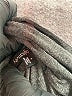 Relativity Gray Cardigan Size L - photo 7