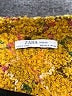 Zara Paisley Gold Blazer Size M - photo 6