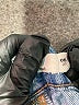Garage Blue Jeans Size 5 - photo 8