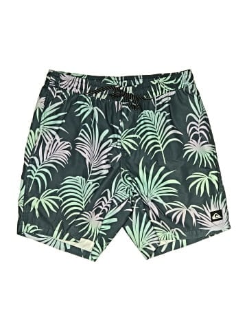 Quiksilver Board Shorts (view 1)