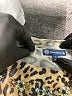 Democracy Animal Print Gold Pullover Sweater Size S - photo 4