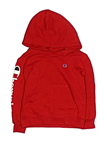Champion Sweatshirt (view 1)