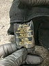dalia Solid Black Active Pants Size L - photo 8