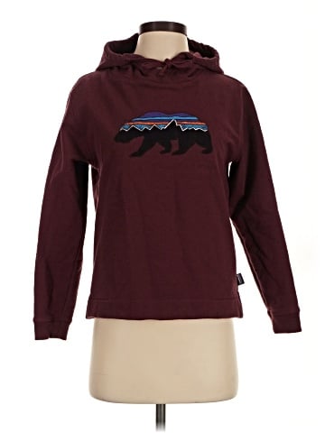 Patagonia Pullover Hoodie (view 1)