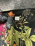 Kut from the Kloth Floral Black Long Sleeve Blouse Size L - photo 7