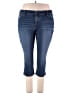 Stylus Blue Jeans Size 22 - photo 1