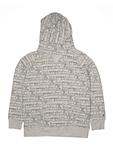 Champion Pullover Hoodie (view 1)