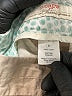J.Crew 100% Cotton Solid Tan Khaki Shorts Size 0 - photo 4