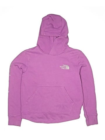 The North Face Pullover Hoodie (view 1)