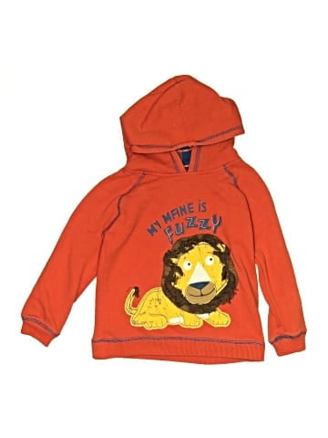 Sesame Street Pullover Hoodie (view 1)