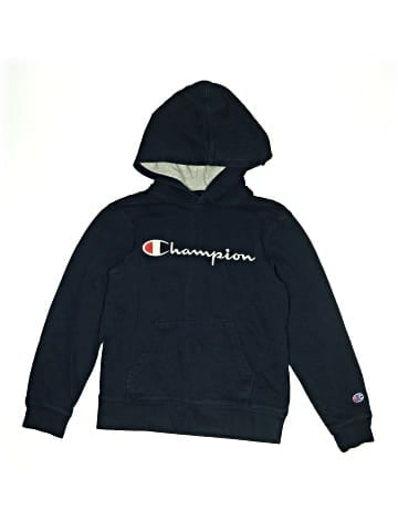 Champion Pullover Hoodie (view 1)