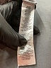DKNY Gray Track Pants Size L - photo 8