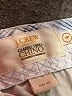 J.Crew 100% Cotton Solid Ivory Khaki Shorts Size 4 - photo 3