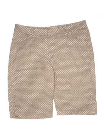 Lee Khaki Shorts (view 1)