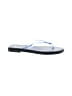 Gap Blue Flip Flops Size 8 - photo 1