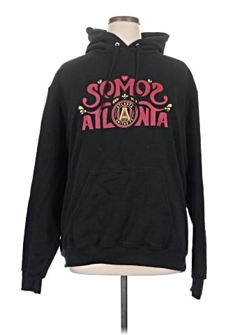 Champion Pullover Hoodie (view 1)
