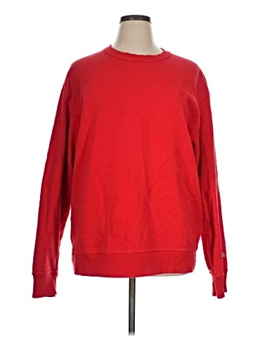 Champion Sweatshirt (view 1)