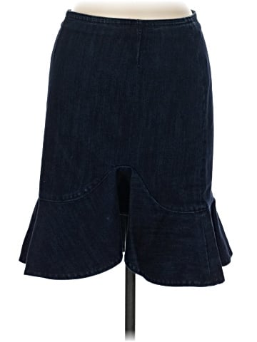 Leifsdottir Denim Skirt (view 1)