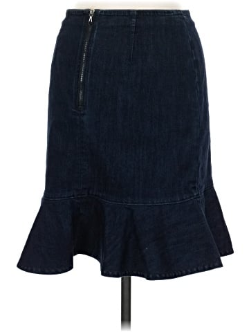 Leifsdottir Denim Skirt (view 2)